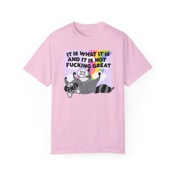 It Is What It Is and It Is Not Great Mental Health Raccoon Comfort Colors Unisex Garment-Dyed T-shirt