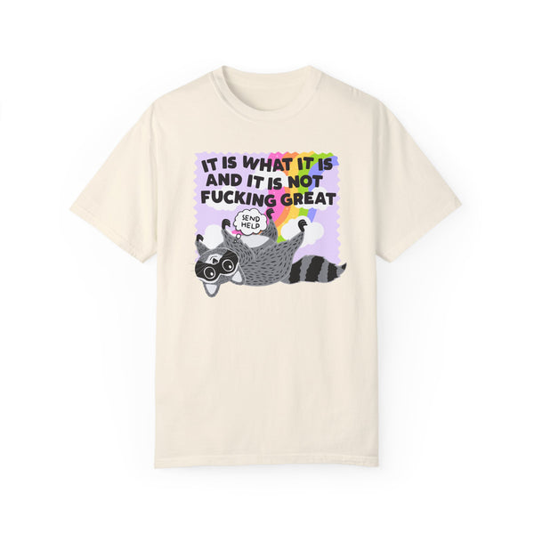 It Is What It Is and It Is Not Great Mental Health Raccoon Comfort Colors Unisex Garment-Dyed T-shirt