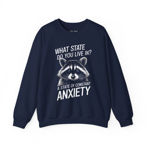 Constant State of Anxiety Raccoon Unisex Heavy Blend Crewneck Sweatshirt