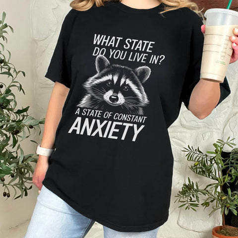 Constant State of Anxiety Raccoon Comfort Colors Unisex Garment-Dyed T-shirt