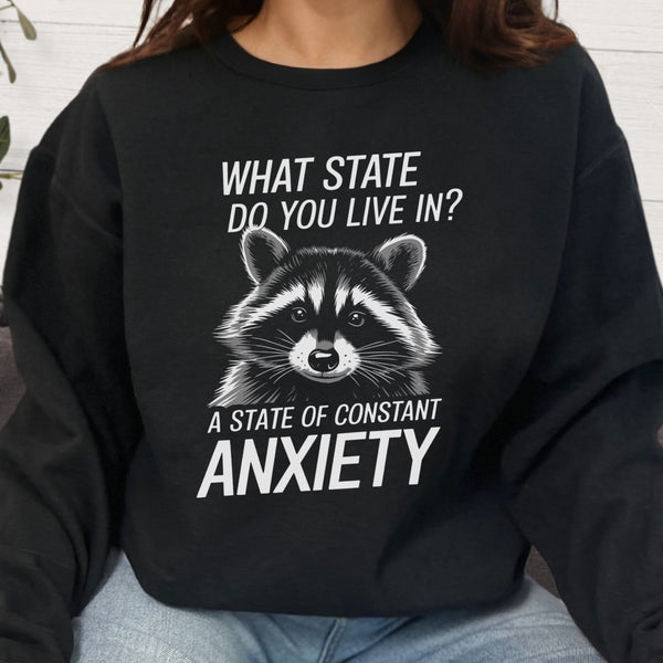 Constant State of Anxiety Raccoon Unisex Heavy Blend Crewneck Sweatshirt