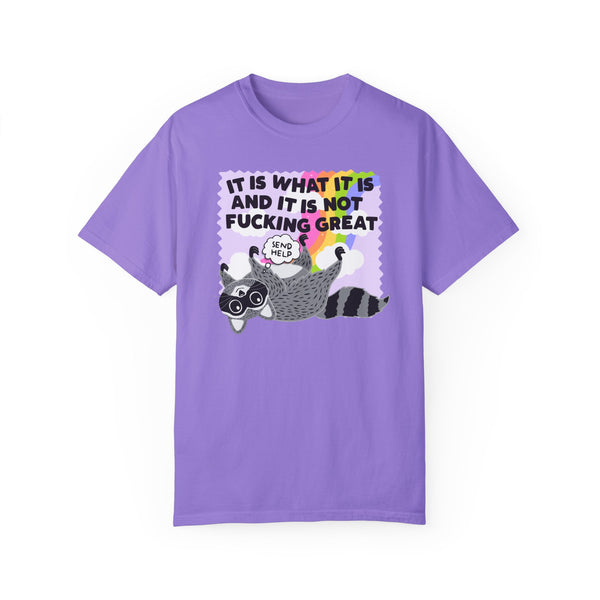 It Is What It Is and It Is Not Great Mental Health Raccoon Comfort Colors Unisex Garment-Dyed T-shirt