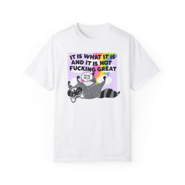 It Is What It Is and It Is Not Great Mental Health Raccoon Comfort Colors Unisex Garment-Dyed T-shirt