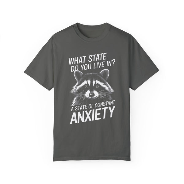 Constant State of Anxiety Raccoon Comfort Colors Unisex Garment-Dyed T-shirt