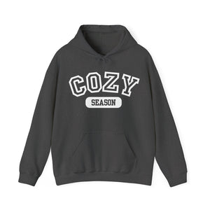 Cozy Season Varsity Unisex Heavy Blend Hooded Sweatshirt Hoodie