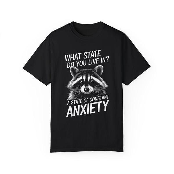 Constant State of Anxiety Raccoon Comfort Colors Unisex Garment-Dyed T-shirt