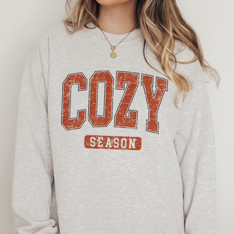 Cozy Season University Unisex Heavy Blend Crewneck Sweatshirt