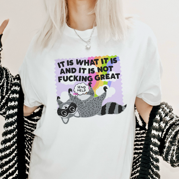 It Is What It Is and It Is Not Great Mental Health Raccoon Comfort Colors Unisex Garment-Dyed T-shirt