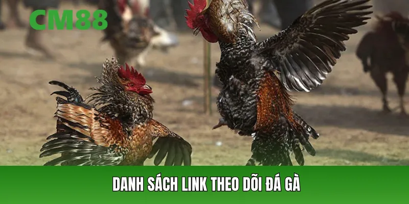 Danh sách link theo dõi đá gà được cập nhật